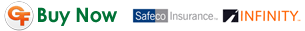 Buy Auto Insurance in Estero Florida